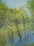 Мочурище (2010) Маслени бои върху платно. Размери 41x33 см (ангажирана)